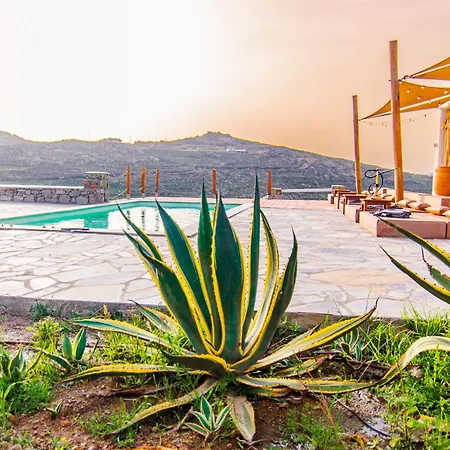 Poppy Mykonos